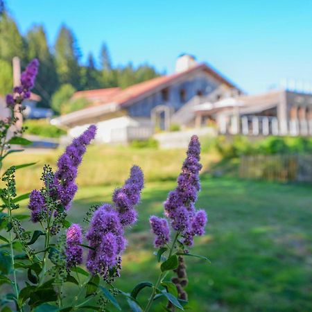 Auberge De La Poulciere Gérardmer Exteriér fotografie