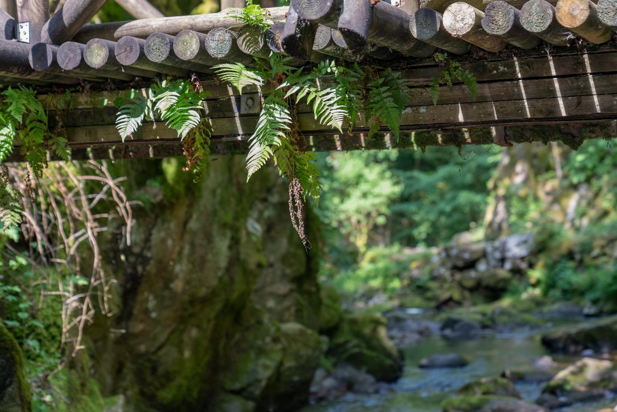 Auberge De La Poulciere Gérardmer Exteriér fotografie