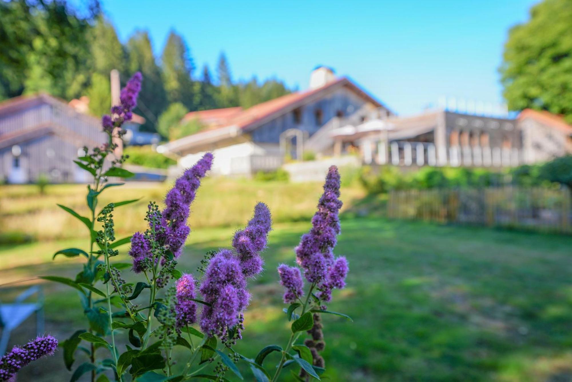 Auberge De La Poulciere Gérardmer Exteriér fotografie